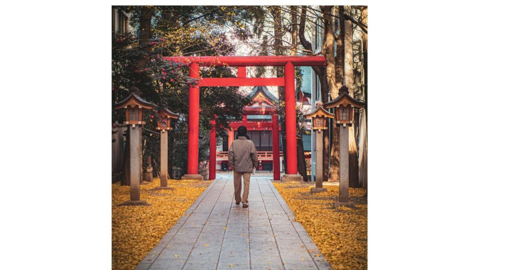 神社に呼ばれる理由を考える神秘的な神社の風景